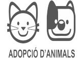 Adopció animals